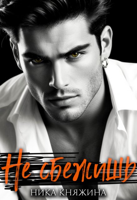 Читать онлайн полностью книгу «Не сбежишь» Ника Княжина бесплатно