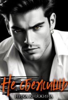 Скачать полную книгу «Не сбежишь» Ника Княжина бесплатно в формате fb2(фб2), epub(епаб)